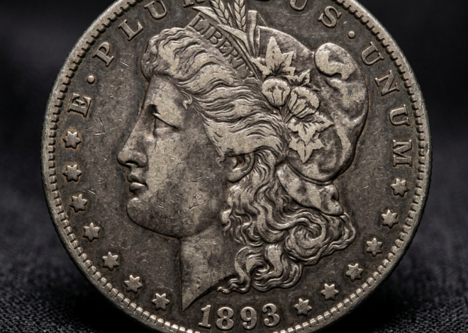 1893 Morgan Dollar Value and Price Guide for Collectors