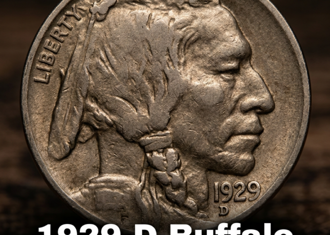 1929-D Buffalo Nickel Value What This Denver Mint Coin Is Worth Today