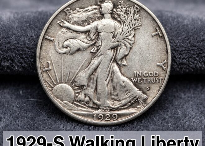 1929 S Walking Liberty Half Dollar Value and Price Guide for Collectors